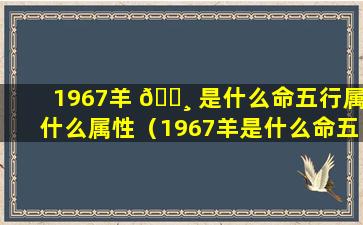 1967羊 🕸 是什么命五行属什么属性（1967羊是什么命五行属什么 🦋 属性的人）